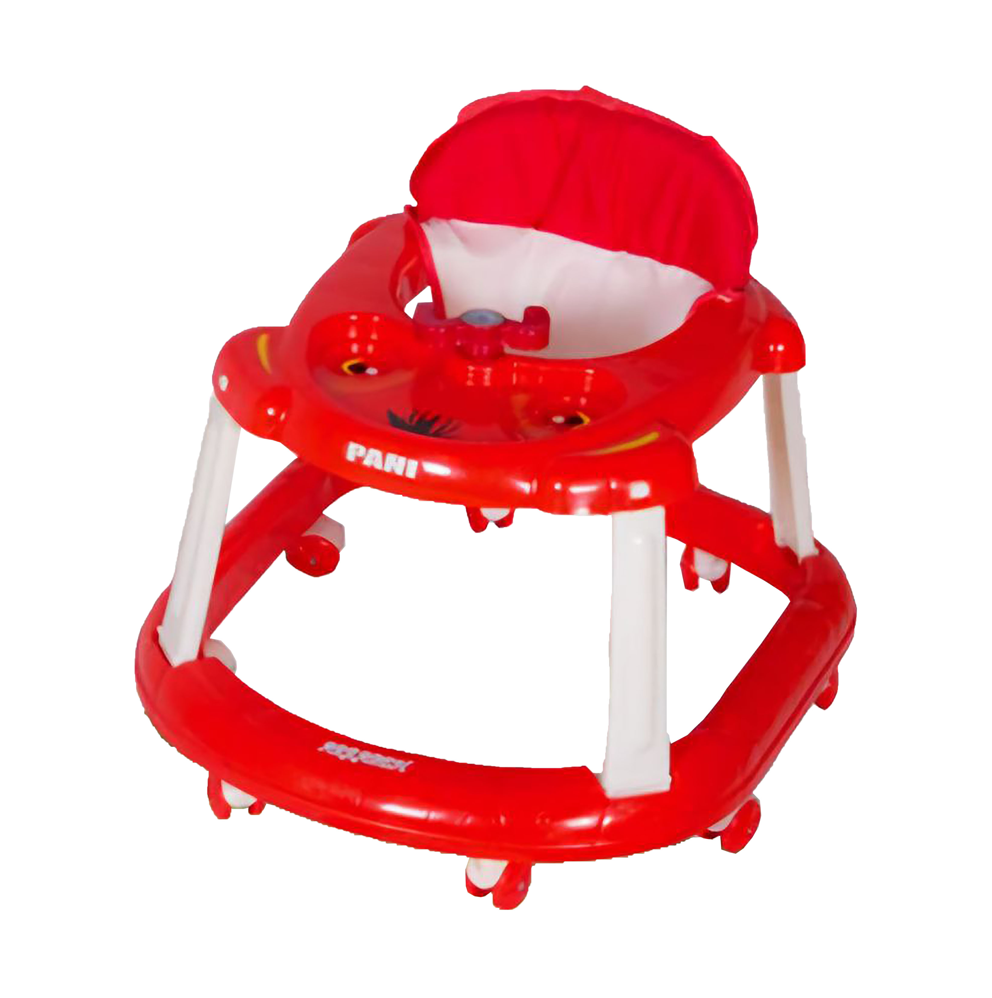 روروئک پانی